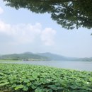 호반순환로 R | 이건 꼭 가봐야 해! 무료 + 뷰 좋은 국내 드라이브 코스 추천