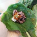 강지우밥상 - 군포시 | 치유되는 집밥의 맛은 무슨 맛일까? [샘표,맛있는 추억을 그리다]