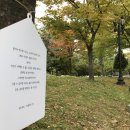 평촌도서관 앞 이미지