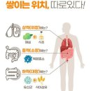 몸에 쌓인 식적 이미지