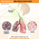 밝은세상약국 이미지