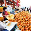 두우리 농장 이미지