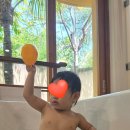 젠클럽레스토랑 | 여행4] 아나만다라 깜란 5박 6일/ 비치프론트 원베드룸 풀빌라 3박 &amp; 스위트룸 바다 전망 2박 숙박 후기(1)