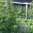 계두농장 이미지