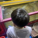 농수산물도매시장_하 이미지