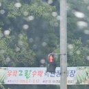 구지바우영농조합법인 | 2025 고령 우곡수박구입 후기#고령우곡수박판매처#우곡그린수박직판장(5월7일~5월17일까지)#고령우곡...