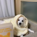 스테이 모량 이미지