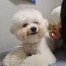 신개금LG2차아파트 상가 앞 | 3월의 딩구르르