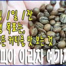 핸드드립 1일 1잔/내 평생 목표는, 세상의 모든 커피를 맛 보는 것/에티오피아 아리차 예가체프G1/하리오 이미지