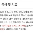 넥스가드