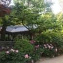 계영당민박