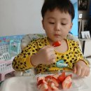 과일곳간