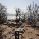 새말 피트니스 이미지