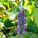 답십리공원 이미지