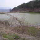 남산리 입석 Daum카페