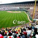 잠실구장서 벌어진 2008 삼성 PAVV 프로야구 LG 트윈스와 KIA 경기 이미지