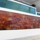 주문진 터미널앞 이미지