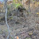 고송보건진료소 이미지