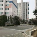 닥터수치과의원 네이버블로그