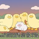 강원중학교 이미지