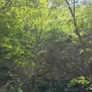 울산 어물동 마애약사여래삼존상 이미지