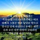 조류중에서 너희가 가중히 여길것은 이러하니라 백조 이미지