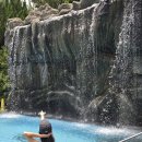 숲에서 | 제주 WE호텔 스파 제주도 온천 수영장 호텔, 제주 서쪽 숲길 산책 숲에서 후기