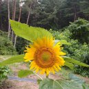 소상공인 부담경감 지원금 신청 하세요 이미지