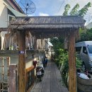 [김동기 셰프의 한그릇] 새콤·매콤·달콤한 솜땀 … 더위에 풀 죽은 입맛 깨우다 이미지