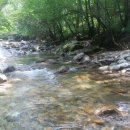 도로시펜션 이미지