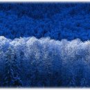 건강세상 이미지