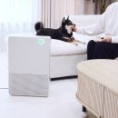 아이스마트테크놀로지 | 미니 공기청정기 냄새제거 청소까지 편했던 쿠쿠 인스퓨어 공기청정기 브릭2