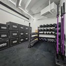 크로스핏 앤츠 이미지