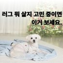 일진세탁 | LikeThix 라익디스 먼지없는 워셔블 단모러그 세탁후기 내돈내산