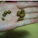 에코세븐 이미지