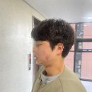 표피부과의원 | [리네아의원] 발산역 인생 첫 피부과 쥬베룩, 제네시스 후기 (계속 추가 예정)