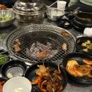 옥길동 갈매기 이미지