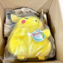 패스짐 | 어서와 피카츄 뚱카츄 직구 후기 (짐패스 배대지)