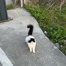 낙지뜰아구마당 이미지