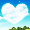 꿈을 찾아서 이미지