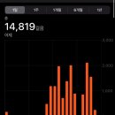 세븐일레븐 영주상망대로점 | [후쿠오카] 쿠로마츠다이묘 / 케고신사 / 링고 애플파이 / 원갈비 프리미엄 텐진