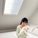 가평별누리펜션 | [경기/가평] 강아지랑 온 가족 1박 2일 ①일차...힐링닭갈비 · 포포팩토리 · 댕댕이 애견펜션 그린)