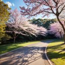 돌산해양낚시공원낚시터 | 여수 돌산 해양낚시공원 1박 2일 여행 후기