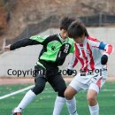 정림초등학교 이미지