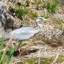 당구장 가는길 이미지
