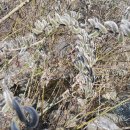 수원-0305 이미지