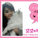 수아즈코리아 | 치약공장 미백치약으로 치아미인되기