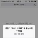 아이폰 사파리 PDP 먹통 이미지