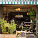 Otter(오터) 이미지