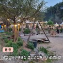 캠프원 관광농원 | 용인 바베큐장 캠핑장 산토리니 관광농원 N번째 방문후기